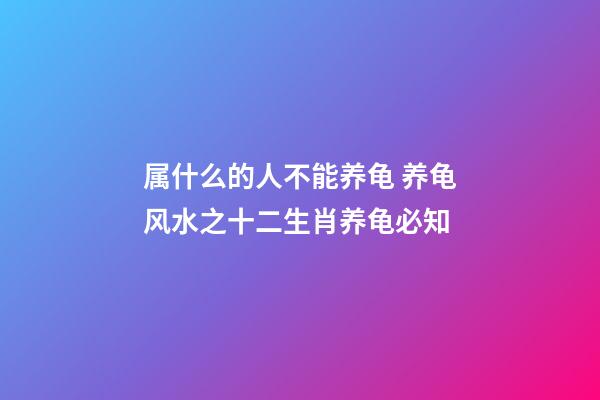 属什么的人不能养龟 养龟风水之十二生肖养龟必知